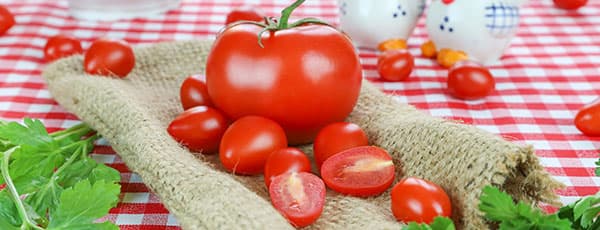 10 правил большого урожая томатов