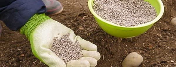 Азот для растений — топ 6 лучших подкормок