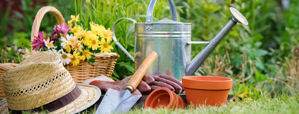 Что делать на даче в июле – календарь садовода и огородника