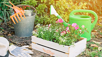 Дачный сезон 2021 – идеальная подготовка. Сажаем семена на рассаду