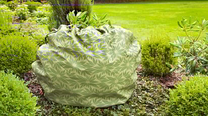 Подготовка рододендрона к зиме: обрезка и укрытие