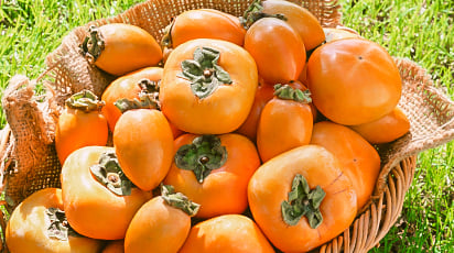 Как правильно ухаживать за хурмой, чтобы сохранить урожайность