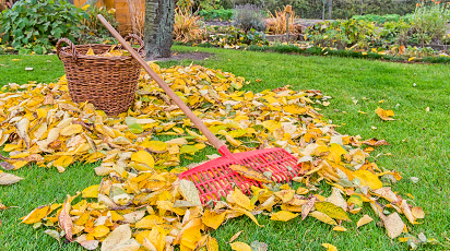 Осенняя обработка сада: эффективные приемы против болезней и вредителей