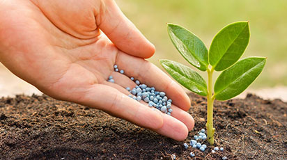 Подкормка весной – виды удобрений для сада и огорода