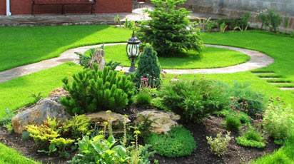 Растения для альпийской горки и рокария: обзор видов и сортов