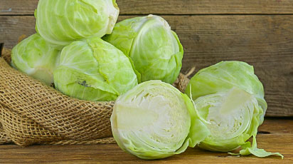 Секреты выращивания крепкой капустной рассады