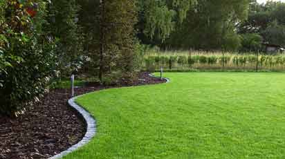 Виды газонов: спортивный, мавританский, луговой, декоративный