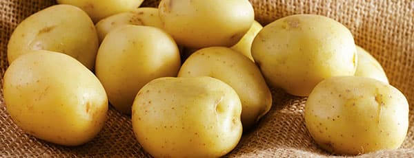 Гид по сортам желтого картофеля