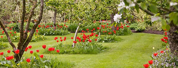 Как спланировать участок – дача для начинающих