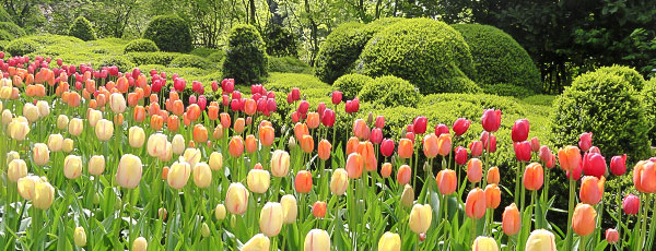 Календарь садовода и огородника на май