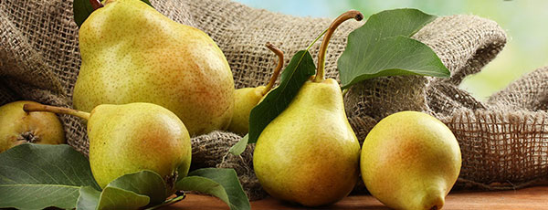 Календарь садовода на август – список неотложных дел