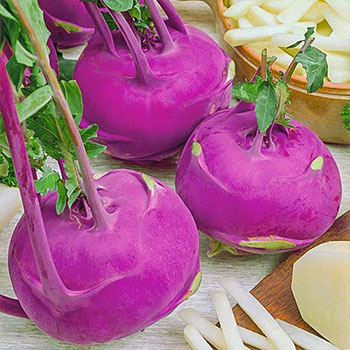 Капуста кольраби