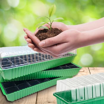 Мини-парники