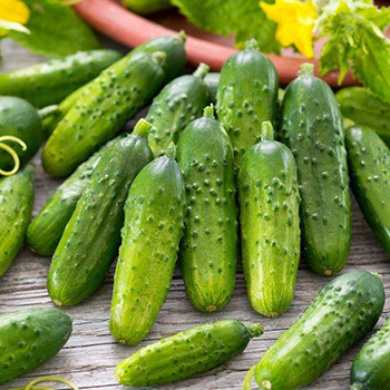 Огурец суперпучковой