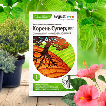 Стимуляторы роста для корнеобразования