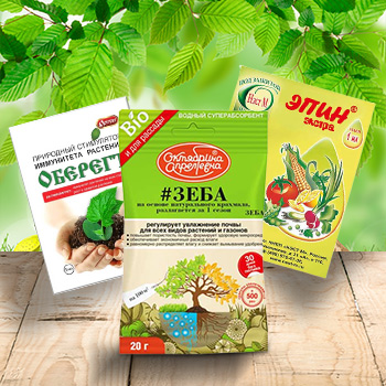 Стимуляторы роста для рассады