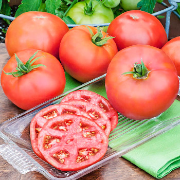 Томат детерминантный (низкорослый)