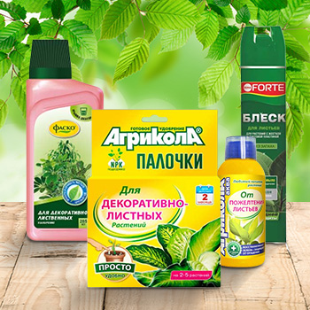 Удобрения для декоративно-лиственных растений