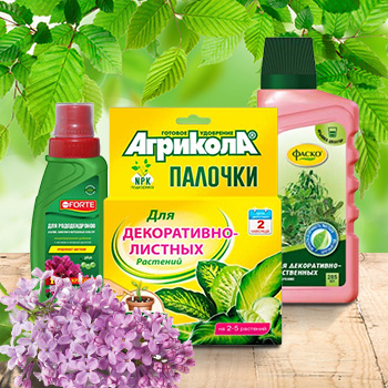 Удобрения для декоративных культур