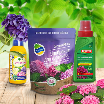 Удобрения для гортензий и азалий