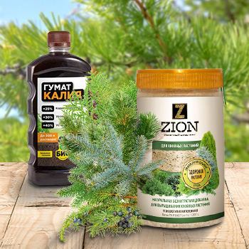 Удобрения для хвойных