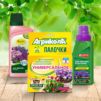 Удобрения для комнатных растений