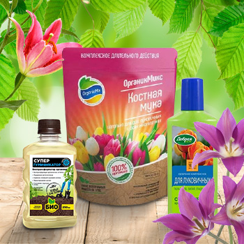 Удобрения для луковичных культур