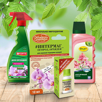 Удобрения для орхидей