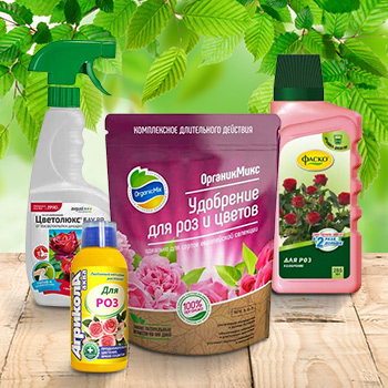 Удобрения для роз