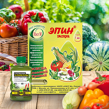 Удобрения для семян