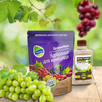 Удобрения для винограда