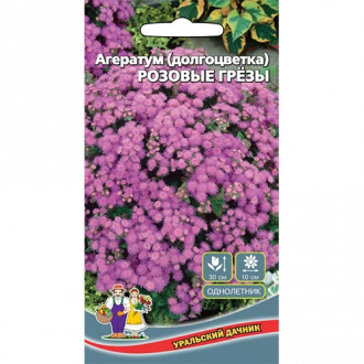 Агератум Розовые грезы Уральский дачник изображение 16