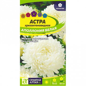 Астра Аполлония Белая Семена Алтая изображение 3