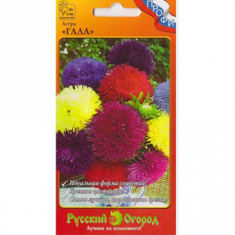 Астра Гала, смесь окрасок НК изображение 9