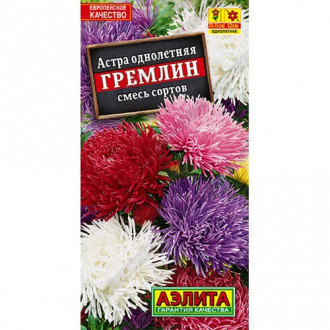 Астра Гремлин, смесь окрасок Аэлита изображение 6