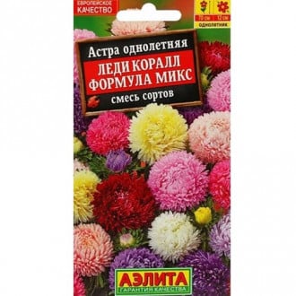 Астра Леди Коралл формула микс, смесь окрасок Аэлита изображение 6