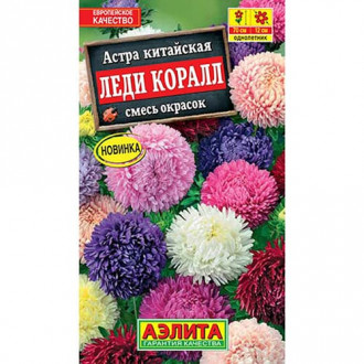 Астра Леди Коралл, смесь сортов Аэлита изображение 5