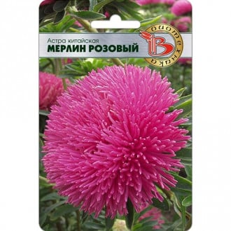 Астра Мерлин Розовый Биотехника изображение 1