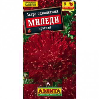 Астра Миледи красная Аэлита изображение 1