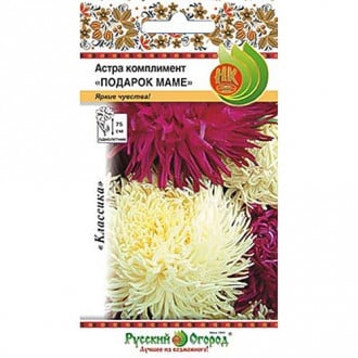 Астра Подарок маме, смесь окрасок НК изображение 5