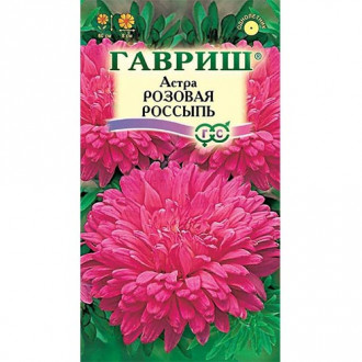 Астра Розовая россыпь Гавриш изображение 4