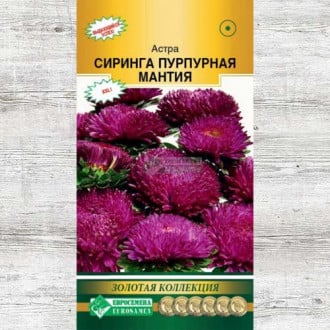 Астра Сиринга Пурпурная мантия