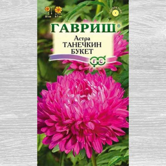 Астра Танечкин букет Гавриш изображение 1