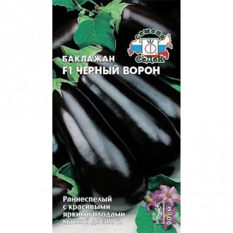 Баклажан Черный ворон F1 Седек изображение 2