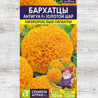 Бархатцы Антигуа Золотой шар F1 изображение 8