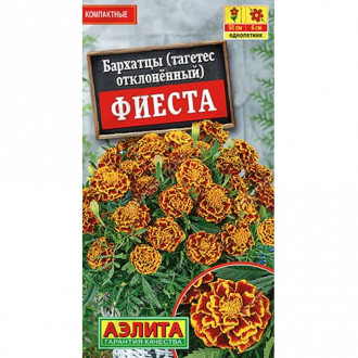 Бархатцы отклоненный (тагетес) Фиеста Аэлита изображение 2