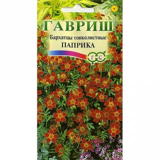 Бархатцы Паприка Гавриш изображение 6