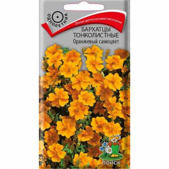 Бархатцы тонколистные Оранжевый самоцвет Поиск изображение 7