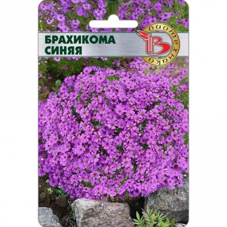 Брахикома Синяя Биотехника изображение 10