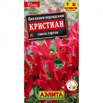 Цикламен персидский Кристиан, смесь окрасок Аэлита изображение 5